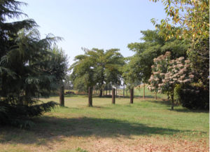Allevamento Chow Chow Ceppo Rosso - una parte del giardino