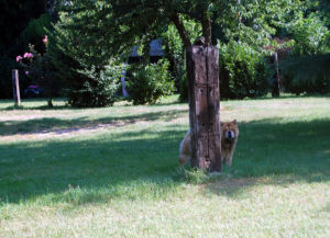 In giardino