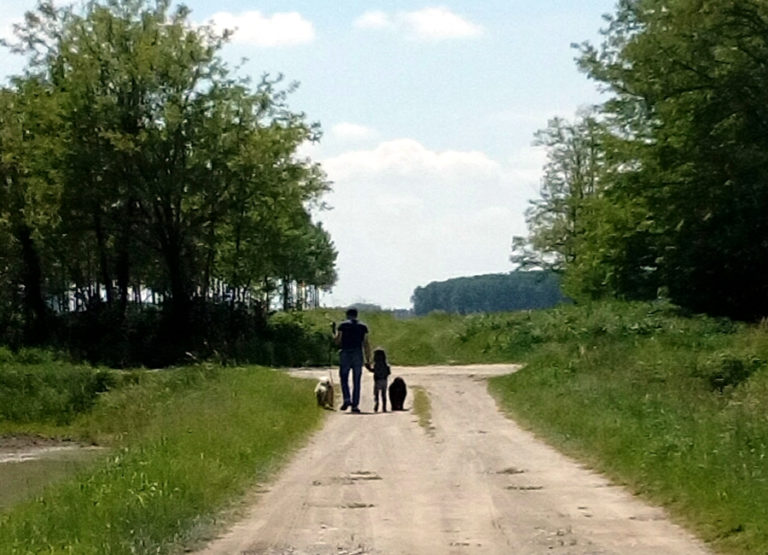 Passeggiata in campagna