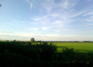 Campagna di Vignarello