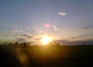 Vignarello al tramonto