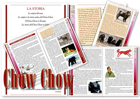 Chow Chow di Isabella Milani e Siro Baruffaldi