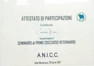 Seminario di Primo Soccorso Veterinario